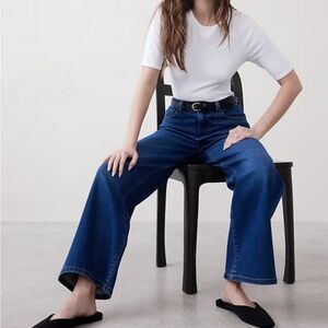 Banana Republic Dark Blue Flare Jeans